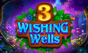 3 Wishing Wells™